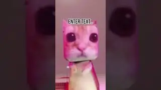 meme of the second #memes #memeoftheweek #funnypictures #funny #funnymemesoftheday #memefunny #edit