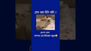 মেনশন দিয়ে যান আপনার সেই বন্ধু কে🔥 #shortsvideo #ফানি_ভিডিও