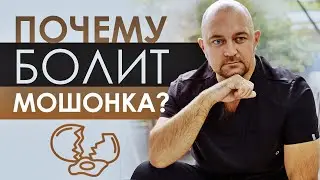 Боль в мошонке, боль в яичках. Причины, симптомы, методы лечения. Рекомендации врача-уролога