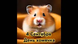 День хомяка: праздник для любителей милых животных