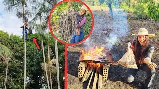 TORRAMOS CASTANHA DE CAJÚ E COLHEMOS AÇAI! Subi em um pé gigantesco