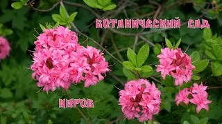 Ботанический сад г. Киров