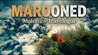 Pink Floyd: Marooned (Fan Video)