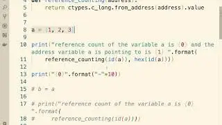 Reference counting in code