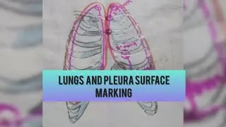 SURFACE ANATOMY OF LUNGS AND PLEURA|| HINDI||