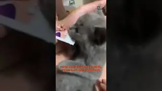 А потом снова спать… 