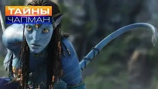 Где наш хвост?