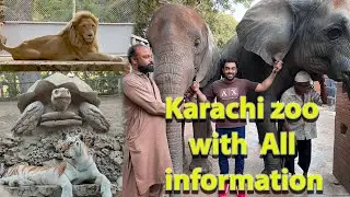 Karachi Zoo Park .All Animals with complete information  lion Tiger  and elephant (Asad Brohi vlog)