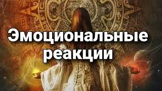 Эмоциональные реакции и настроение | Мистический опыт