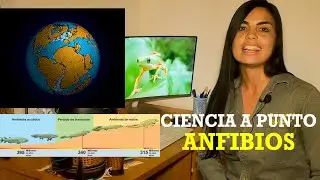 Ciencia A Punto: Anfibios