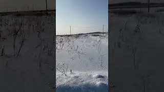 9 февраля 2022 г.