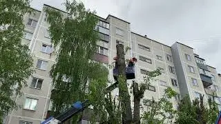 Спил тополя с автовышки