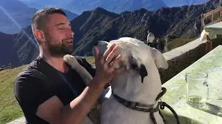 Wonderful Zeus