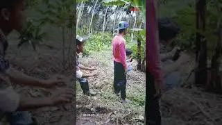 Prank Pelorotin Celana 