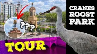 Cranes Roost Park | A Quick Tour Of Cranes Roost Park | Altamonte Springs, FL