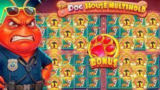 ВЕРНУЛСЯ ЧТОБЫ ДОЖАТЬ ЭТИХ СОБАК ДО КОНЦА! УЛЕТНАЯ СЕССИЯ В DOG HOUSE MULTIHOLD! ВКУСНЫЙ ЗАНОС!!!