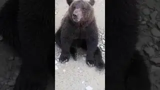 Бывает же такое 😅.
