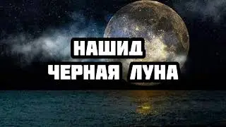нашид-черная луна