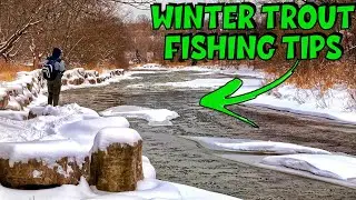 Top 10 Early Winter Trout Fishing Tips