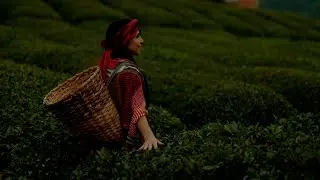 GezSen Anadolu'yu | Türkiye