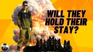 How To Teach Your Dog The Most Epic Down/Stay With ANY Distraction!!