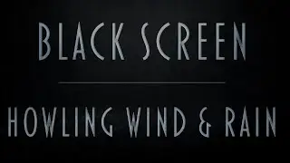 Howling Wind & Rain Sounds | Pure Black Screen For Uninterrupted Sleep | Fall asleep fast | 8Hrs