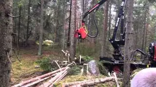 TERRI 34 skördare