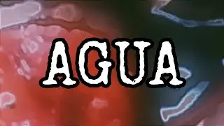 (Quiero Agua Gore)| Void Memes Compilation con Contexto