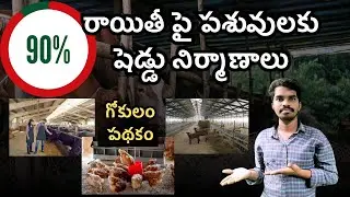 90% సబ్సిడీ పై పశువుల షెడ్డు నిర్మాణాలు - Cattle Shelter Subsidy Scheme AP - Gokulam & Mini Gokulam