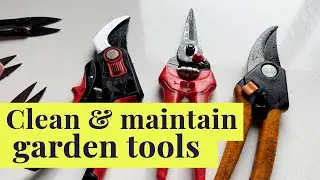 Transform Your Neglected Garden Tools into Shiny Treasures! 🪚✨