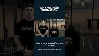 Why We Need Pronation