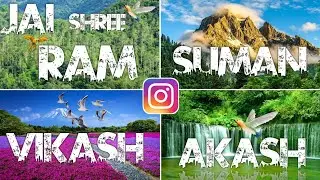 Trending name art video editing | Urban jungle name font reels | Instagram name reels video editing
