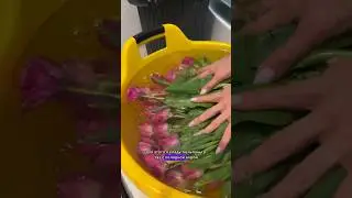 Реанимирую тюльпаны🌷