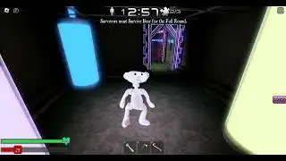 ROBLOX Bear* Unknown Wetlands All puzzles location