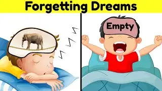 Why do we forget our dreams so quickly?
