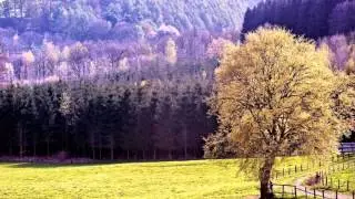 Самая красивая природа и музыка  .Фильм  18й  Натальи Егоровой