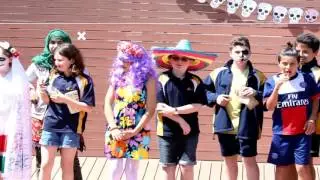 Fiesta de Colores
