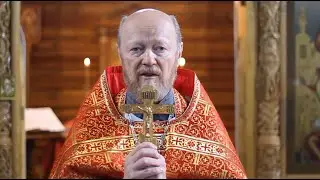 2022 05 22 Проповедь прот. Валентина Васечко на Евангелие о самарянке