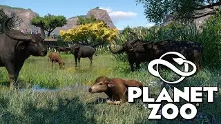 Planet Zoo: The Bernie Goodwin Memorial Zoo Part 7 (Final Episode)