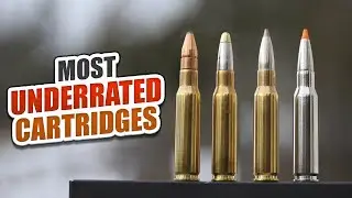 10 Most Underrated Cartridges and Why?