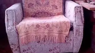 Все о коте моей тети