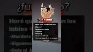 ¿funciono?