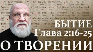 Бытие. Глава 2:16 25