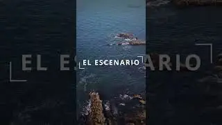 Sesión de embarazo - Video & Fotografía Profesional Concepcion Chile #fotografia #sesionesdefotos