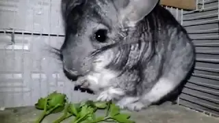 20170508 065641