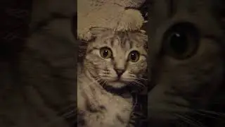 14 февраля 2023 г.