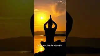 Bienvenid@ a Shanti Om Life.