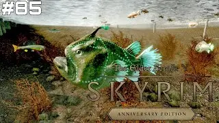 ПРОПАВШИЕ ТОВАРЫ И ЛЕГЕНДАРНЫЙ РЫБАК Skyrim Anniversary Edition - Прохождение [#85]
