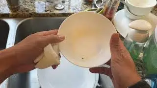 Dawn Platinum Powerwash Dish Spray Review