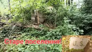 Імператорське поселення знайшов у лісі!